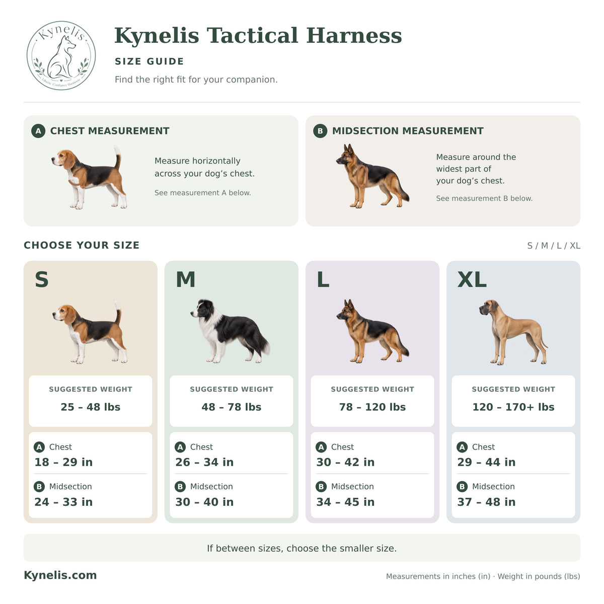 Harnais Anti-Traction Tactique Kynelis™+ Laisse Kynelis™