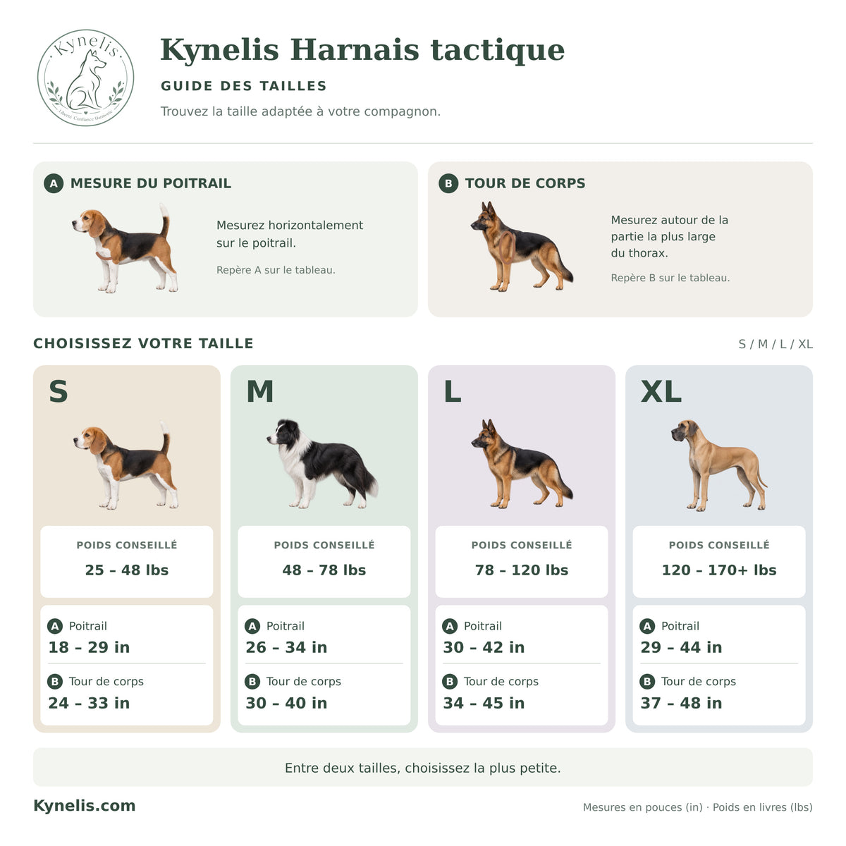 Harnais Anti-Traction Tactique Kynelis™+ Laisse Kynelis™